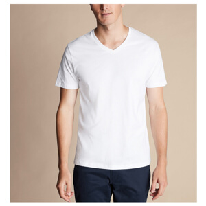 Charles Tyrwhitt V-Neck Cotton T-Shirt